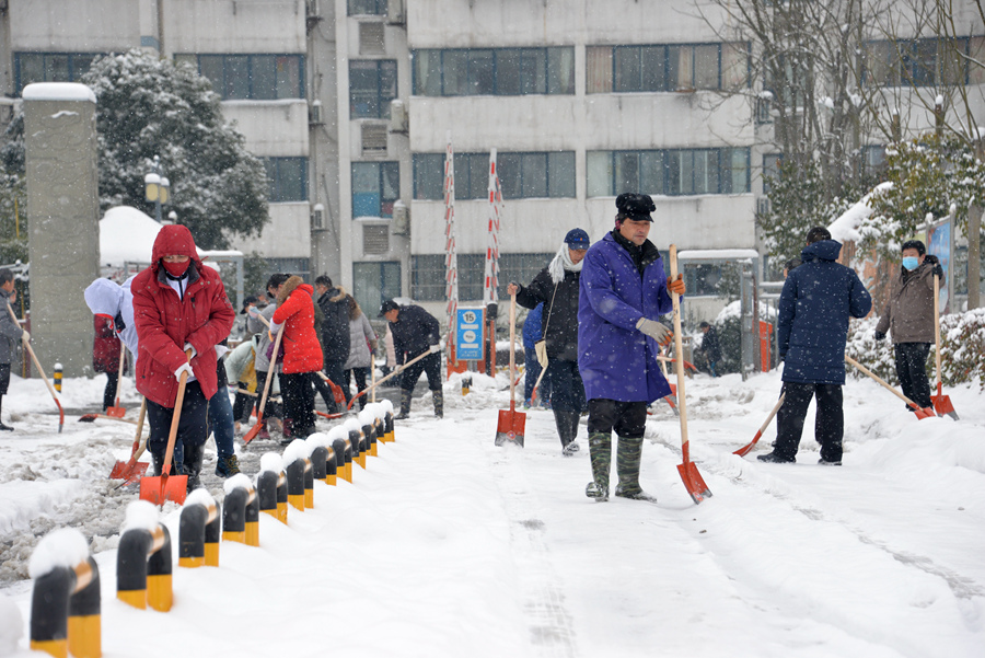 图集：2018师生集体铲雪除冰