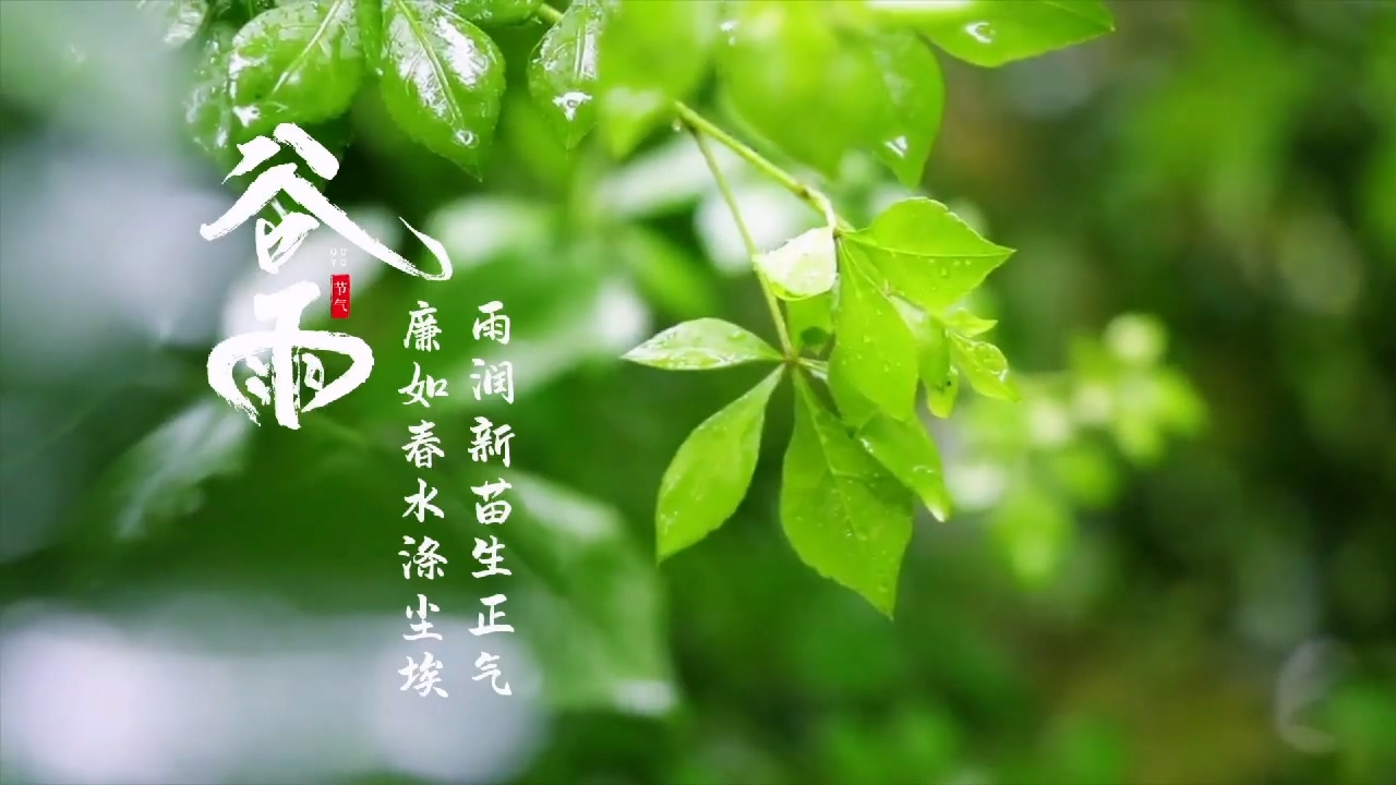 【廉洁文化作品展播】谷雨