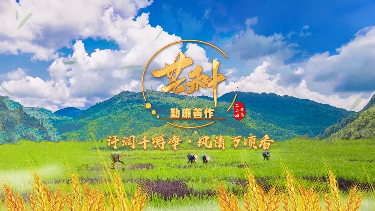 【廉洁文化作品展播】芒种