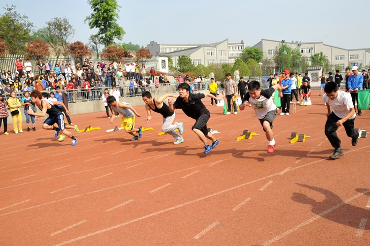 图集：29届运动会——矫健身影