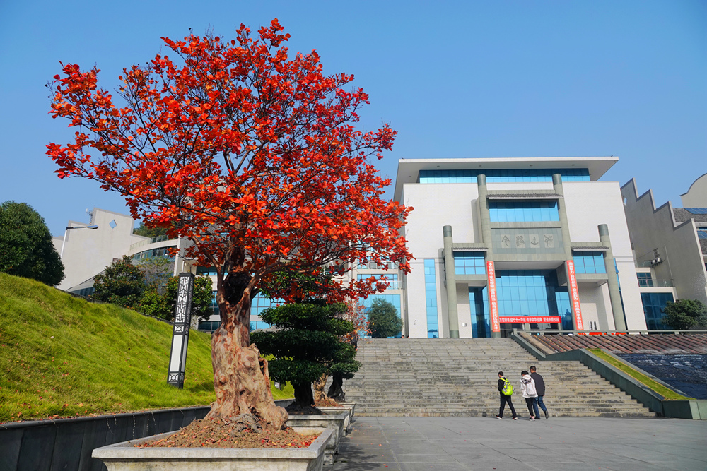 2020汉师之秋-汉江师范学院-汉师光影